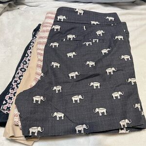 Five Pairs of Loft Shorts - Size 8